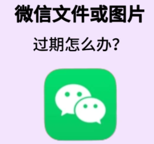 微信过期文件怎么恢复 微信过期文件恢复方法