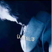 仙泽弱网9.0