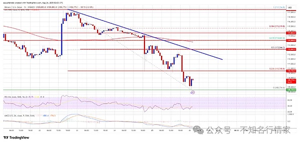 山寨币指数跌至46点比特币破10.5万恐续跌以太坊冲5000美元获鲸鱼加持PENGU现牛旗形态？