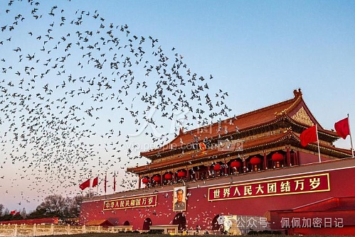 比特币蓄力还是见顶以太坊弱势震荡牛市信仰面临关键挑战马云豪掷3亿入场