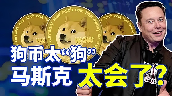 马斯克的“金库计划”,机构与散户共振!DOGE飙升20倍,引爆加密牛市!