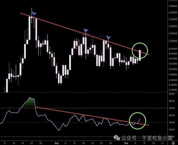 狗狗币突破0.23美元、技术面全开绿灯！下一个目标0.25美元？