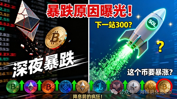 比特币、以太坊深夜跳水 市场情绪受挫 SOL逆势冲高直指300美元？山寨币狂欢季开启