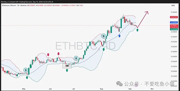 BTC/ETH 蓄势待发、山寨币狂欢暗藏杀机、XRP 杠杆风暴来袭、CELO 能否冲击20倍？