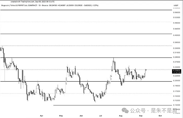 DOGE猛冲0.3刀、SOL突破230大关！BTC站稳11.5万等CPI“发令枪”