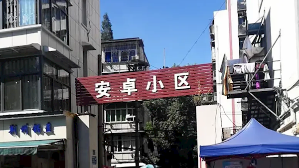 网红发明的“苹果人”“安卓人”概念火了：“安卓”竟然成脏话了