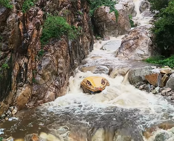 河南嵩山景区石头彩绘“巨型蛇头”已被覆盖：被指吓到人 原石已经有亿年历史