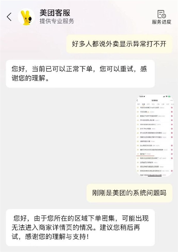 “美团崩了”登上热搜 客服回应页面异常：区域下单密集所致