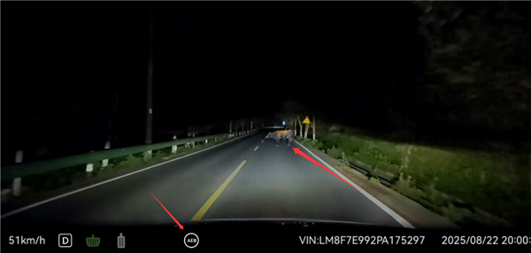 问界M7夜间山路偶遇大黑牛：暗光环境AEB一脚刹停