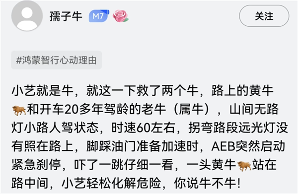 问界M7夜间山路偶遇大黑牛：暗光环境AEB一脚刹停
