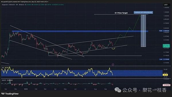 DOGE / USDT 12 小时图，上升通道形态测试。资料来源：TradingView。