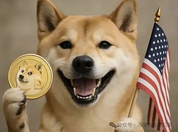 狗狗币因"马斯克效应"暴涨!Grok进驻联邦机构引爆市场!
