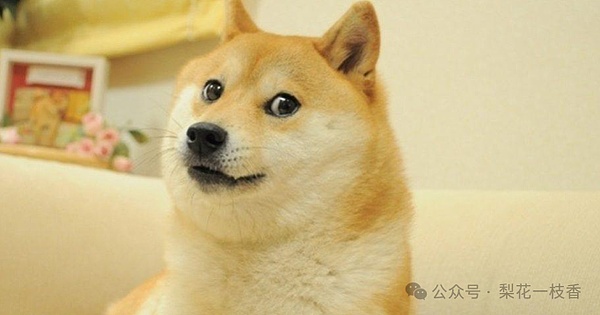 黄金交叉临近狗狗币（DOGE）坚守0.20美元支撑 目标直指0.35美元