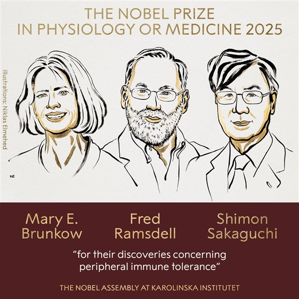 2025年诺贝尔生理学或医学奖公布！三位科学家获奖 奖励832万元