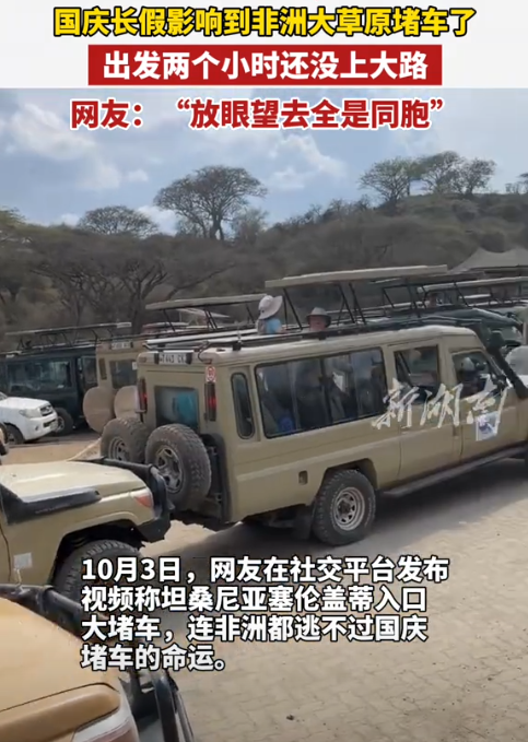 中国人国庆放假 东非大草原都堵车了  网友：聚是一栋楼 散是满地球