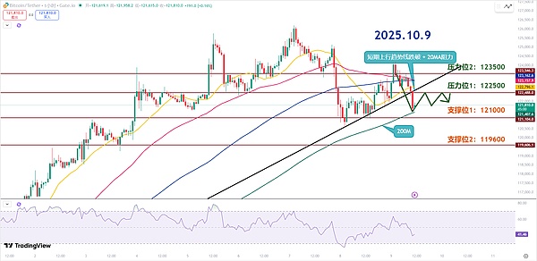 师爷陈10.9：回调蓄力与周线支撑确认？震荡行情非转熊