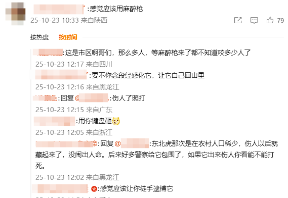 皮卡都拉不下！黑龙江一地惊现黑熊上街：已被妥善处置