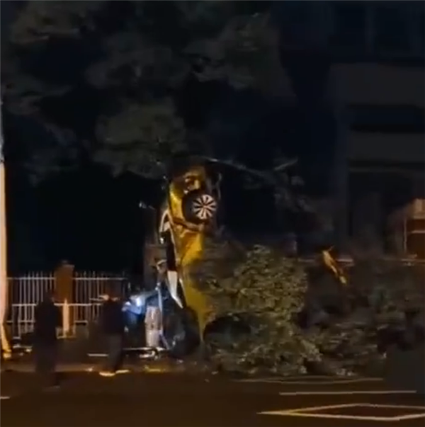 重庆一汽车发生翻车事故：车尾朝天靠树上 气囊弹开男子自行脱困爬出