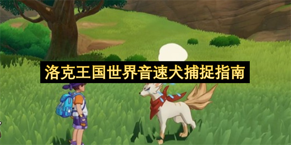 洛克王国世界板板壳捕捉指南