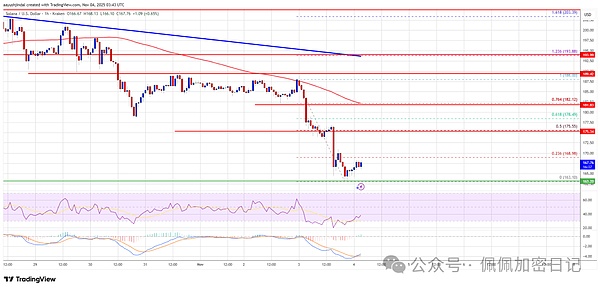 索拉纳·普莱斯