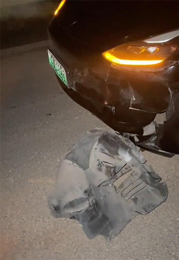 特斯拉撞死闯国道野猪:车主被判全责 行车记录仪视频曝光