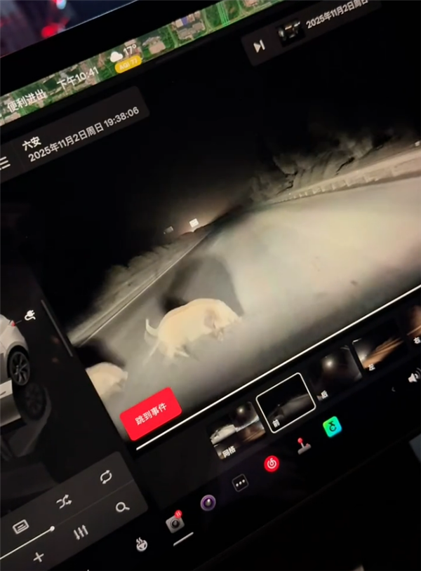 特斯拉撞死闯国道野猪:车主被判全责 行车记录仪视频曝光