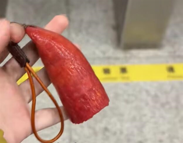 哈尔滨推出“红肠公交卡” 造型逼真