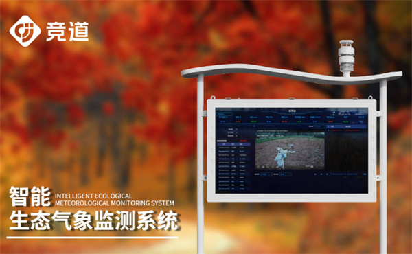 蚂蚁新村11月13日最新答案2025