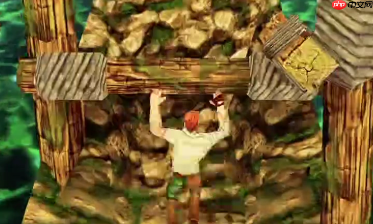 平台访问与启动方式