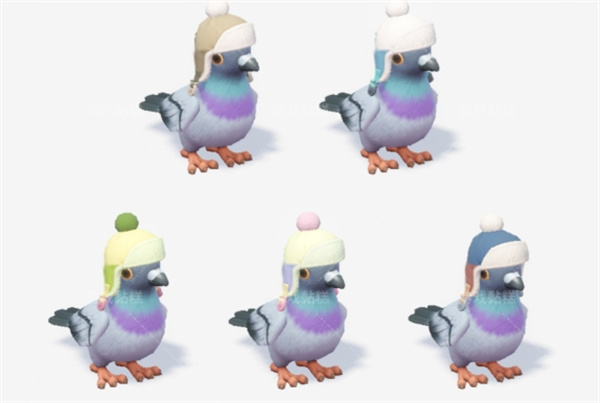 心动小镇沸雪浴场5种鸟类收集攻略