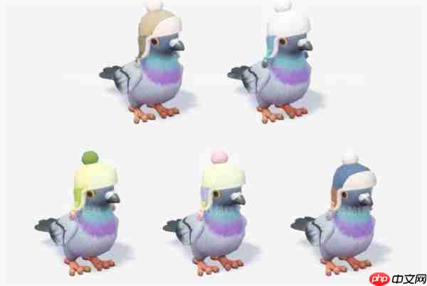 心动小镇沸雪浴场5种鸟类收集指南