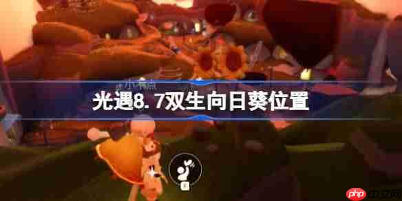 光遇8.7双生向日葵位置介绍-光遇8.7双生向日葵位置在哪