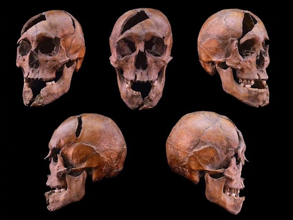 1272年暗杀现场被还原!科学家用DNA破解700年前王室谋杀悬案