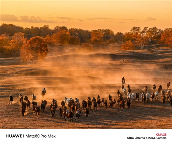 何刚晒华为Mate 80系列实拍样张：红枫影像色彩表现一绝