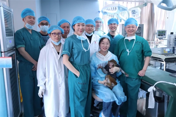 美国之外首个!我国异种器官移植猕猴存活已满一年