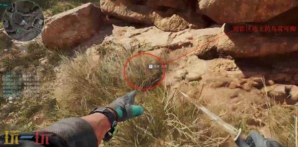 三角洲行动零号大坝鸟窝在哪 零号大坝鸟窝位置高清图片