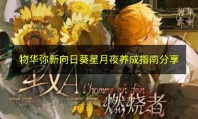物华弥新：向日葵星月夜超详细养成攻略
