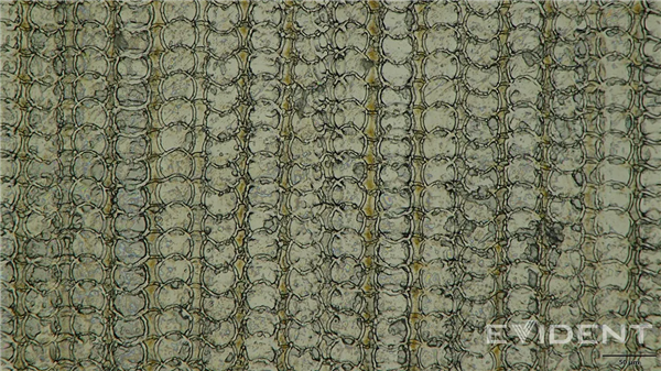 苹果又一突破：iPhone Air USB-C接口采用3D打印技术