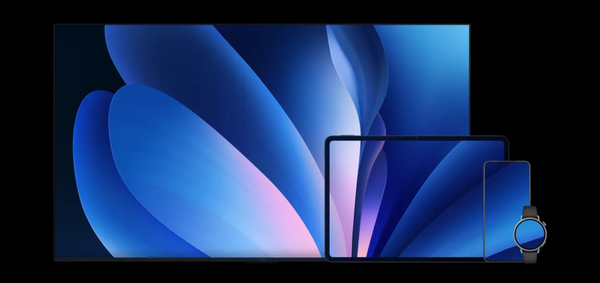 小米为何选择大幅度缩减手机型号