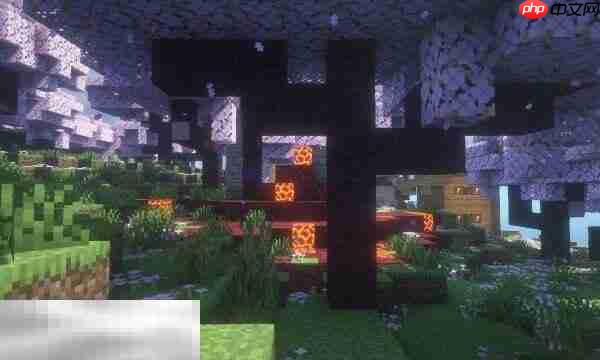 游戏内实体透视技巧展示