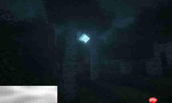 服务器管理透视功能示意图