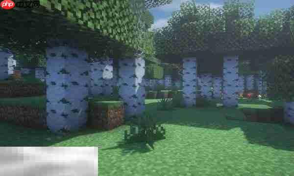 MC隐藏矿石怎么找：实用透视技巧全收录