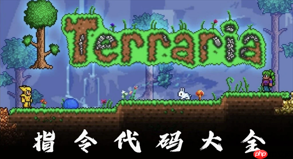 泰拉瑞亚2025最新指令代码全收录