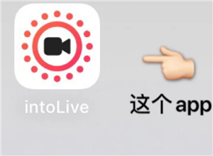 intoLive官网入口 intoLive无法打开的原因及解决方法