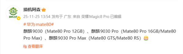 华为Mate 80系列共3款处理器:麒麟9030、麒麟9030 Pro、麒麟9030 Pro Max