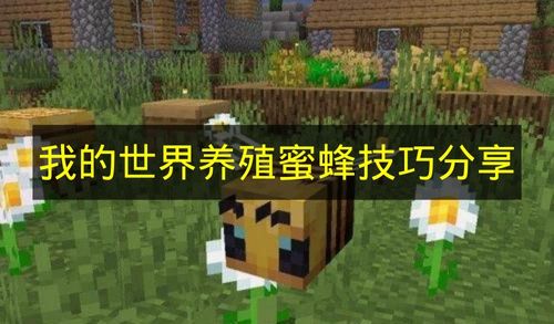 我的世界蜜蜂养殖技巧全攻略 手把手教你养蜜蜂