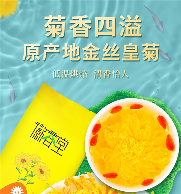  菊香浓郁：徽春堂金丝皇菊约50朵5.9元包邮