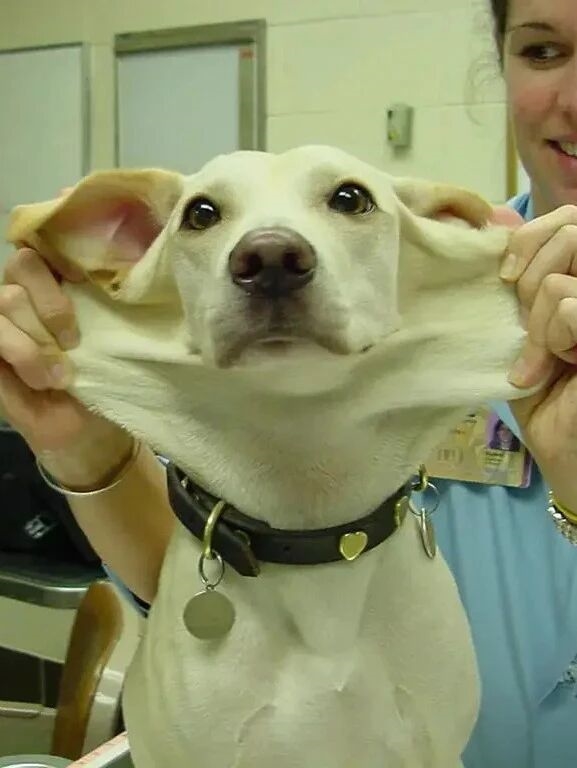 世界上皮肤最有“弹性”的男子 看完可能整个人都不好了