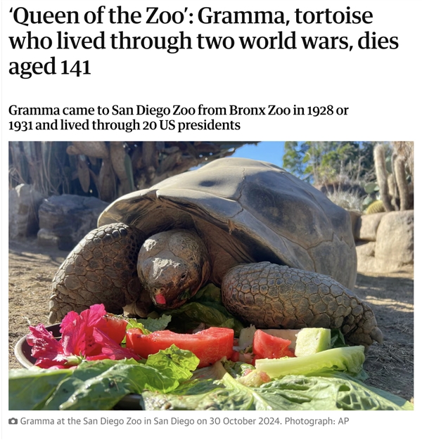 历经20位总统执政 享年约141岁:美国动物园最年长的龟被安乐死