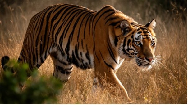 FLUX.2写实细节展示